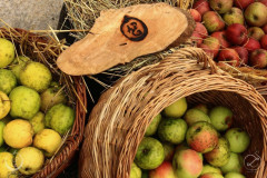 agpcider-13