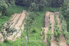 agpcider-18