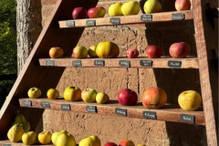 agpcider-2