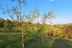 agpcider-3
