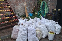 agpcider-7