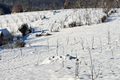 agpcider-9